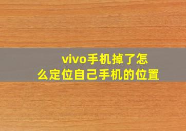 vivo手机掉了怎么定位自己手机的位置