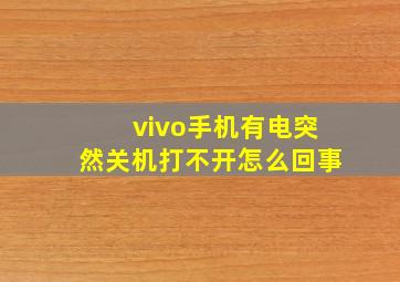 vivo手机有电突然关机打不开怎么回事