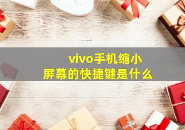 vivo手机缩小屏幕的快捷键是什么