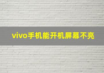 vivo手机能开机屏幕不亮