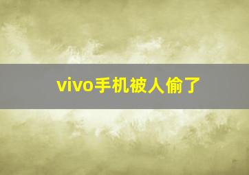 vivo手机被人偷了