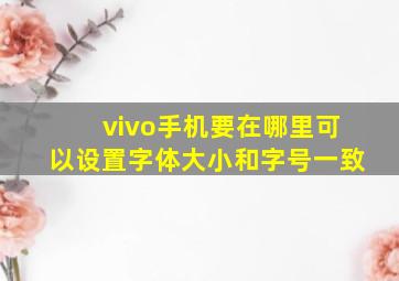 vivo手机要在哪里可以设置字体大小和字号一致