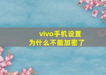 vivo手机设置为什么不能加密了