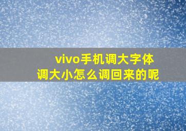 vivo手机调大字体调大小怎么调回来的呢