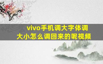 vivo手机调大字体调大小怎么调回来的呢视频