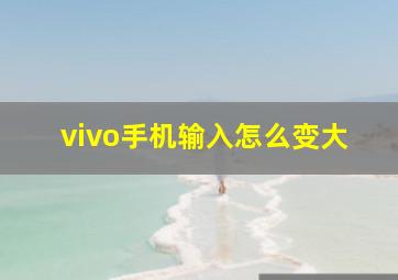 vivo手机输入怎么变大