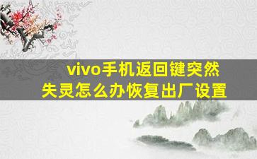 vivo手机返回键突然失灵怎么办恢复出厂设置