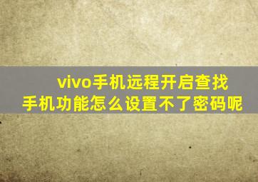 vivo手机远程开启查找手机功能怎么设置不了密码呢