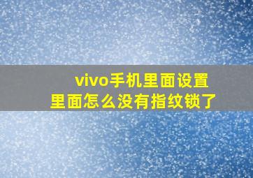 vivo手机里面设置里面怎么没有指纹锁了