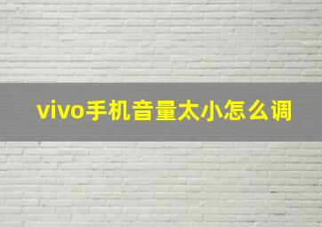 vivo手机音量太小怎么调