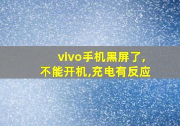 vivo手机黑屏了,不能开机,充电有反应