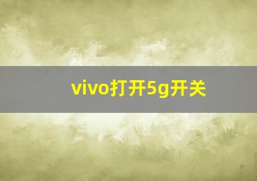 vivo打开5g开关