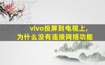 vivo投屏到电视上,为什么没有连接网络功能