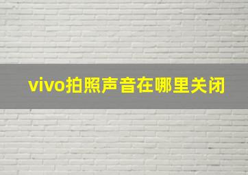 vivo拍照声音在哪里关闭