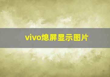 vivo熄屏显示图片