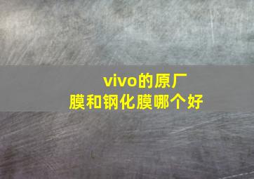 vivo的原厂膜和钢化膜哪个好