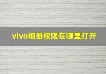 vivo相册权限在哪里打开