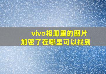 vivo相册里的图片加密了在哪里可以找到