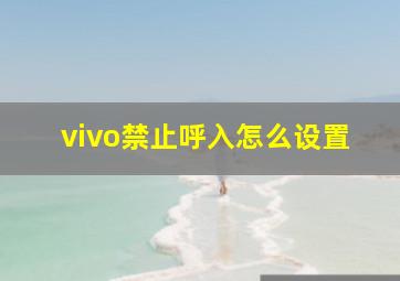 vivo禁止呼入怎么设置