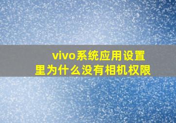 vivo系统应用设置里为什么没有相机权限