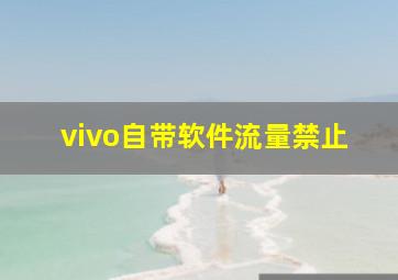 vivo自带软件流量禁止