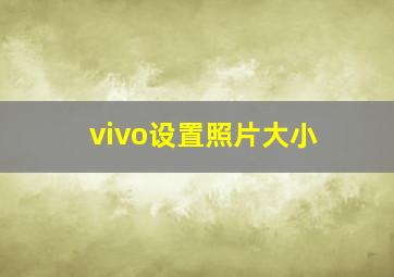 vivo设置照片大小