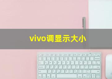 vivo调显示大小