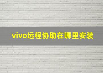 vivo远程协助在哪里安装