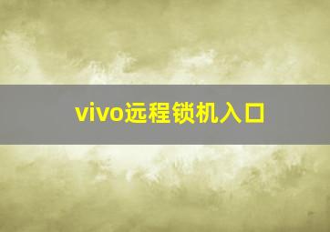 vivo远程锁机入口