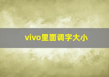 vivo里面调字大小