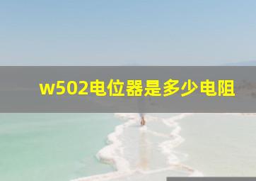 w502电位器是多少电阻