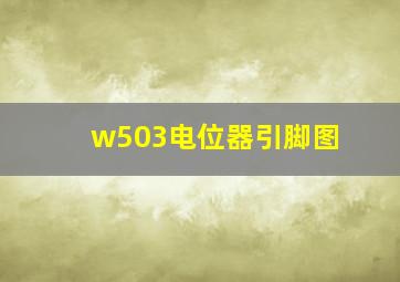 w503电位器引脚图