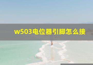 w503电位器引脚怎么接