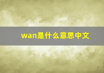 wan是什么意思中文