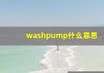 washpump什么意思