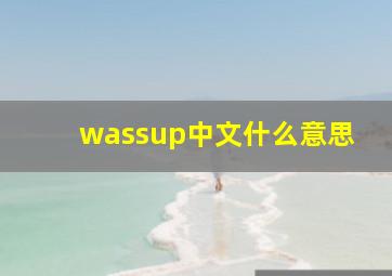 wassup中文什么意思