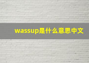 wassup是什么意思中文