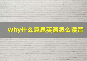 why什么意思英语怎么读音