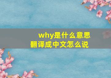 why是什么意思翻译成中文怎么说