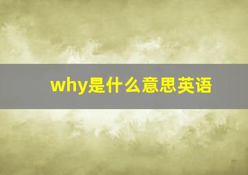 why是什么意思英语