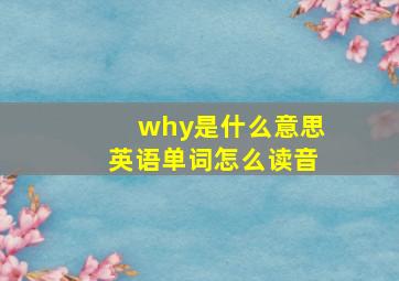 why是什么意思英语单词怎么读音