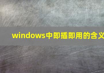 windows中即插即用的含义