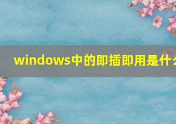 windows中的即插即用是什么