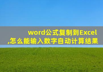 word公式复制到Excel,怎么能输入数字自动计算结果