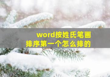 word按姓氏笔画排序第一个怎么排的