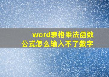 word表格乘法函数公式怎么输入不了数字