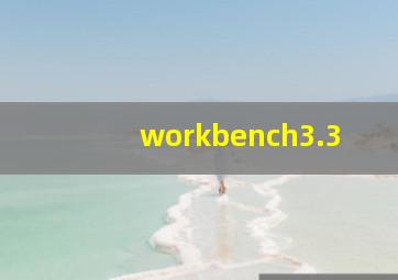 workbench3.3