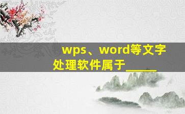 wps、word等文字处理软件属于_____