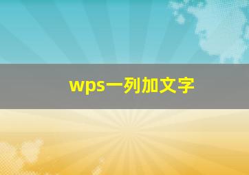 wps一列加文字