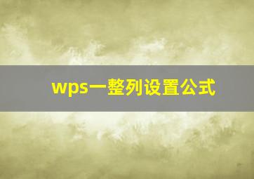 wps一整列设置公式